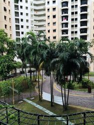 Blk 482 Admiralty Link (Sembawang), HDB 4 Rooms #451543471